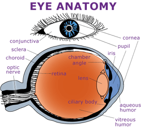 lasik surgery