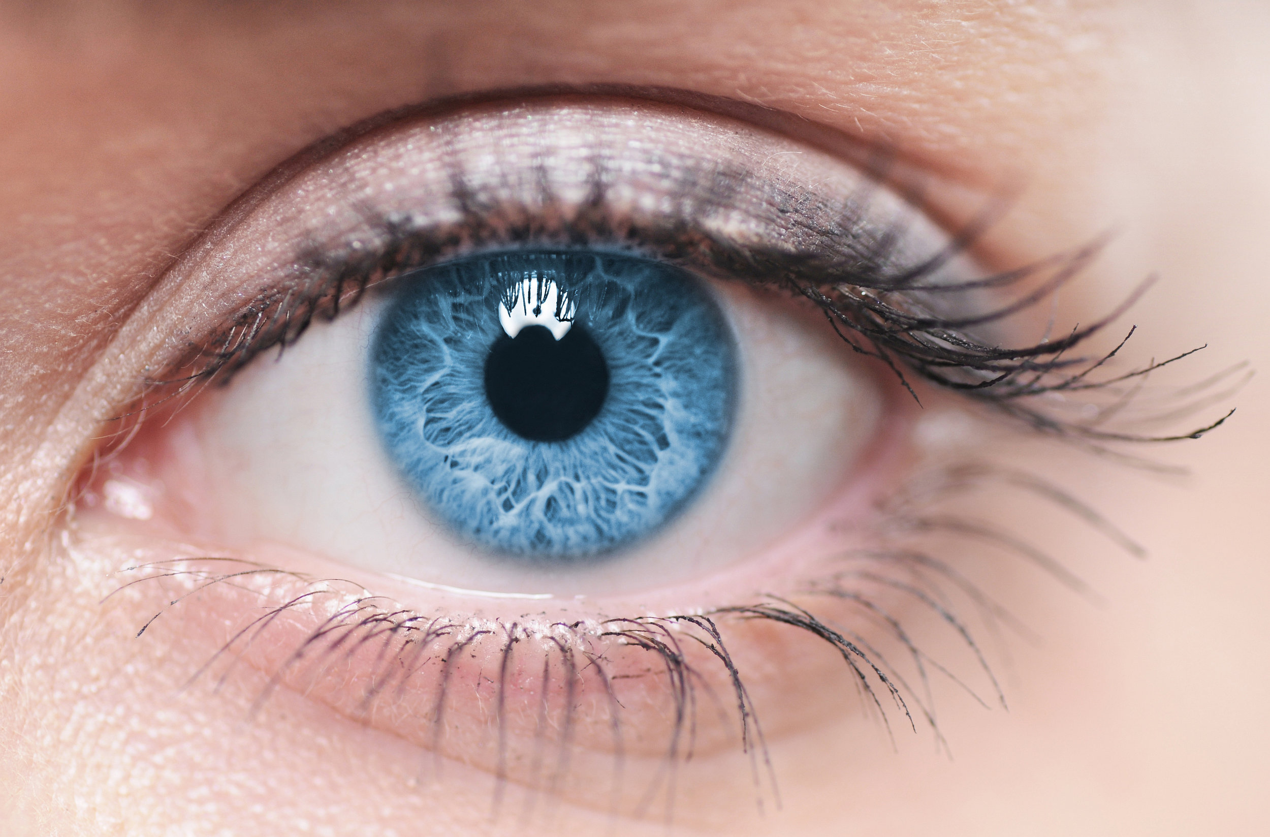 eye health